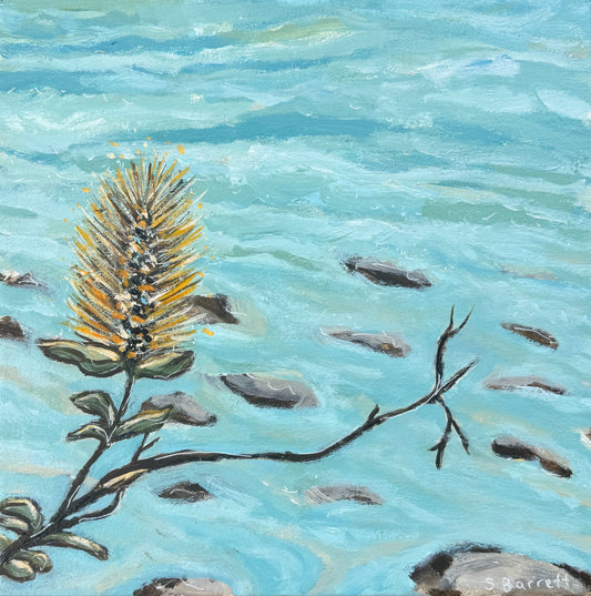 Beyond The Edge Of The Sea - Gold Coast Gallery Of ArtSuzanne Barrett