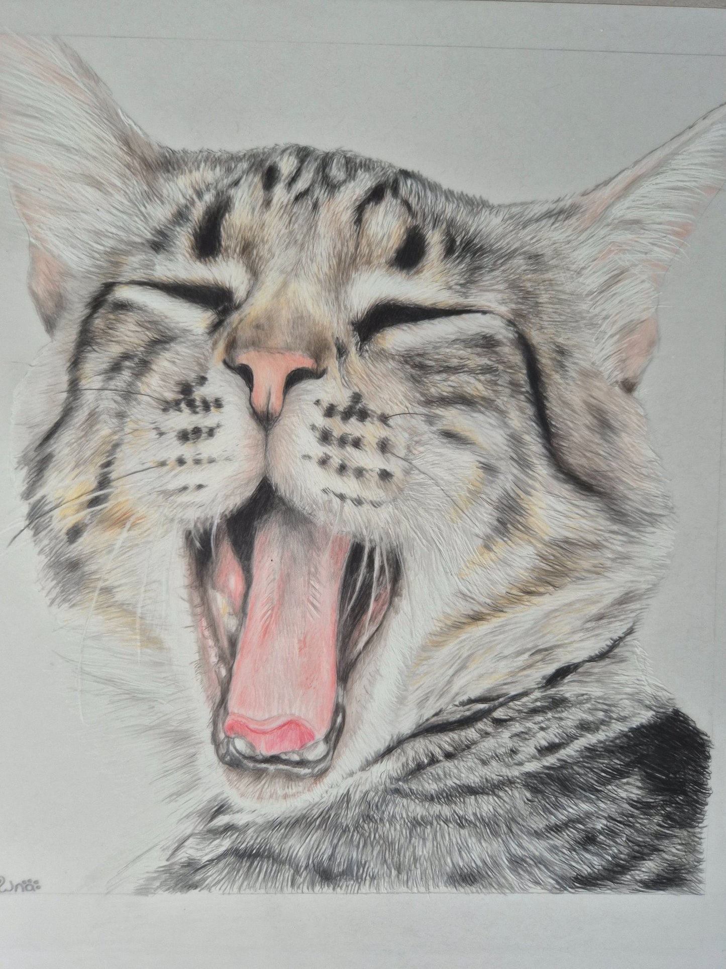 Biiig Yawn - Gold Coast Gallery Of ArtRenae Hall