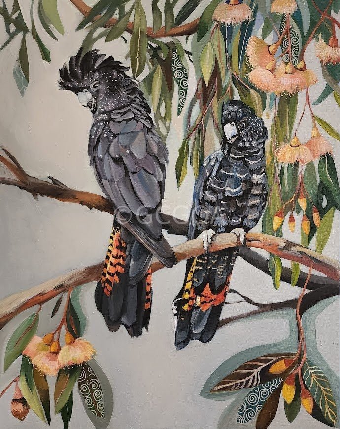 Black Cockatoos with Peach Gum Blossom - Gold Coast Gallery Of ArtSusan Trudinger
