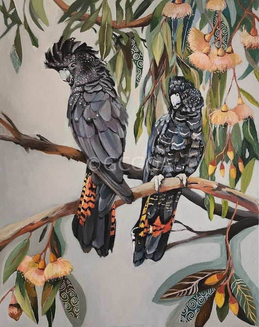 Black Cockatoos with Peach Gum Blossom - Gold Coast Gallery Of ArtSusan Trudinger