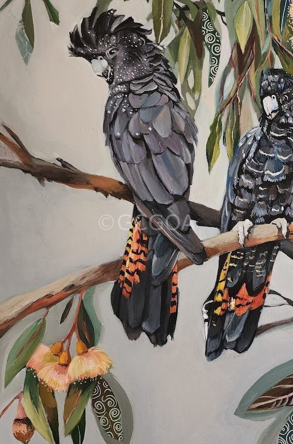 Black Cockatoos with Peach Gum Blossom - Gold Coast Gallery Of ArtSusan Trudinger