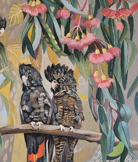 Black Cockatoos with Pink Gum Blossom - Gold Coast Gallery Of ArtSusan Trudinger