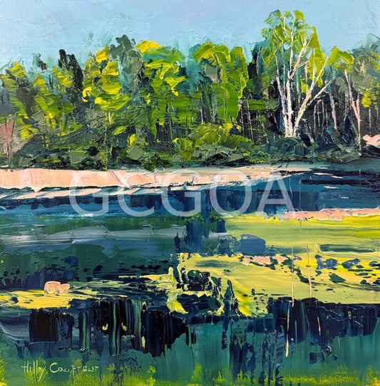 Black Diamond Lake - Gold Coast Gallery Of ArtHilly Coufreur