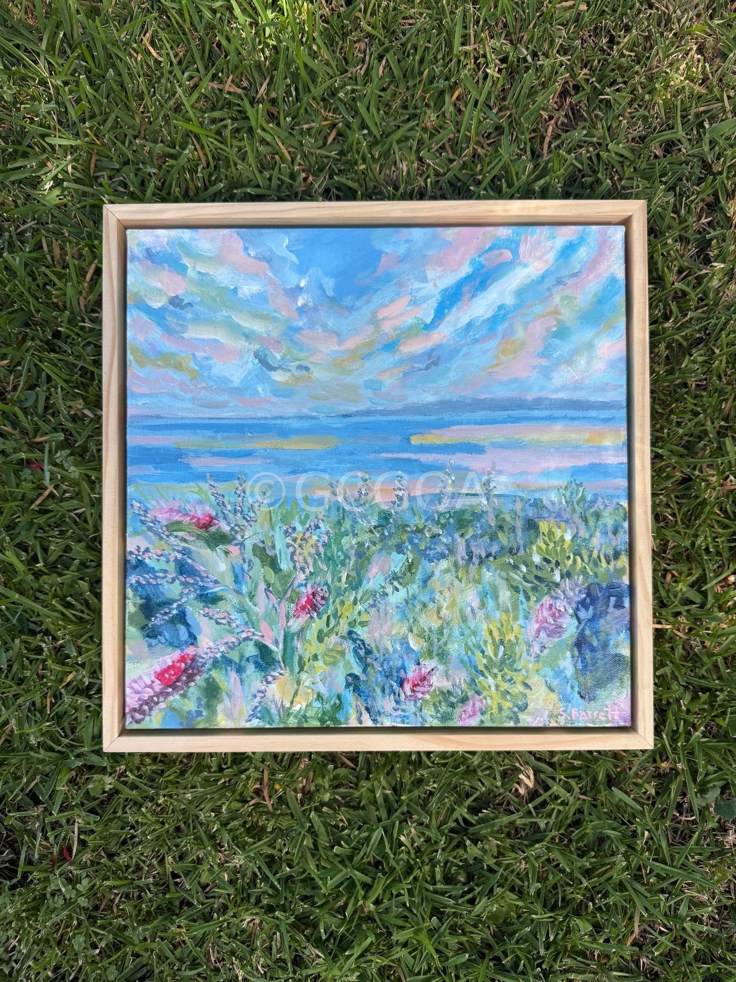 Bloomside - Original Art - Gold Coast Gallery Of ArtSuzanne Barrett
