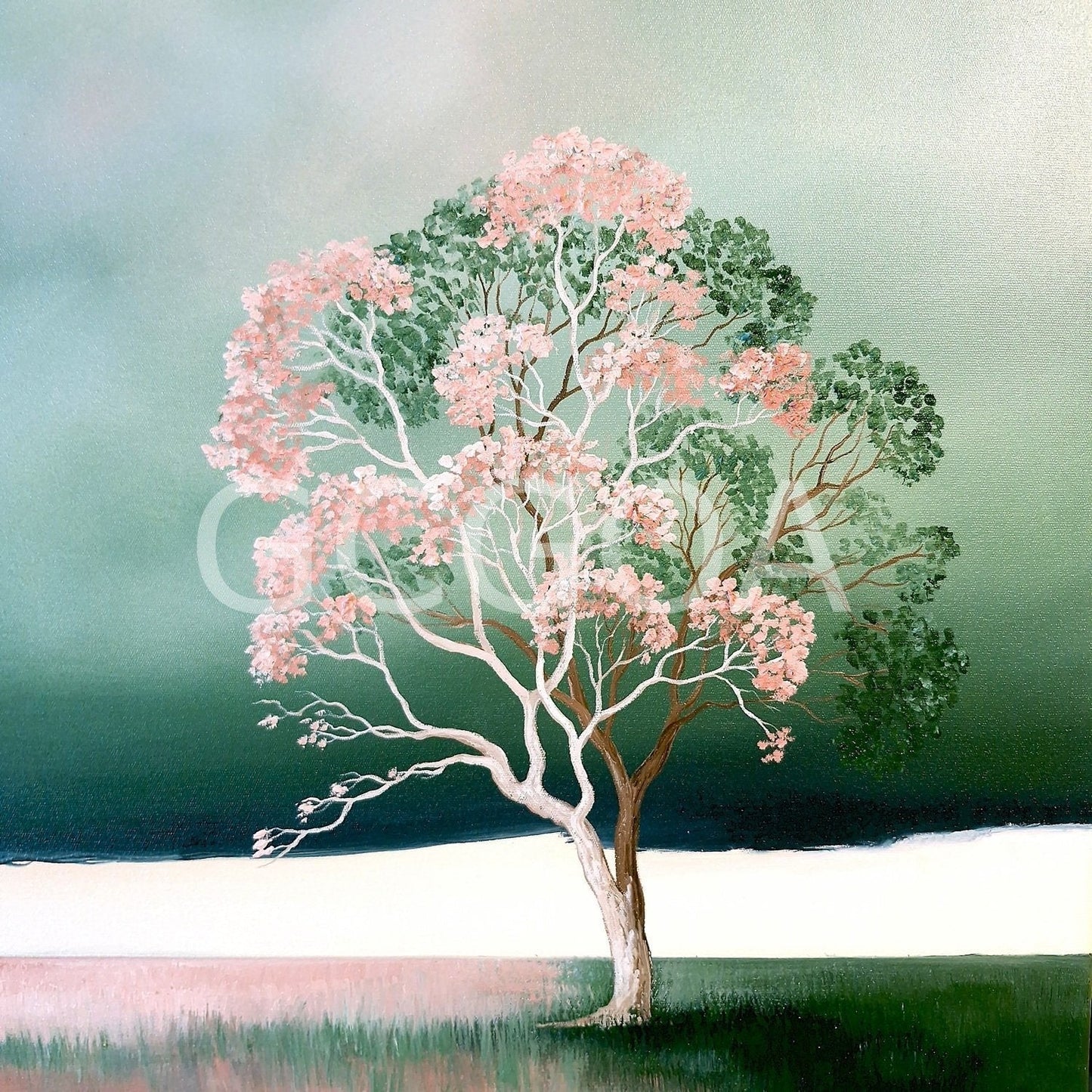 Blossom After Rain - Gold Coast Gallery Of ArtLucinda Leveille