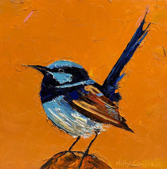 Blue Wren 3 - Gold Coast Gallery Of ArtHilly Coufreur