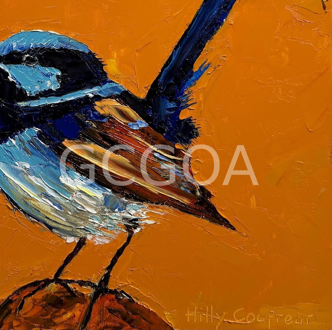 Blue Wren 3 - Gold Coast Gallery Of ArtHilly Coufreur