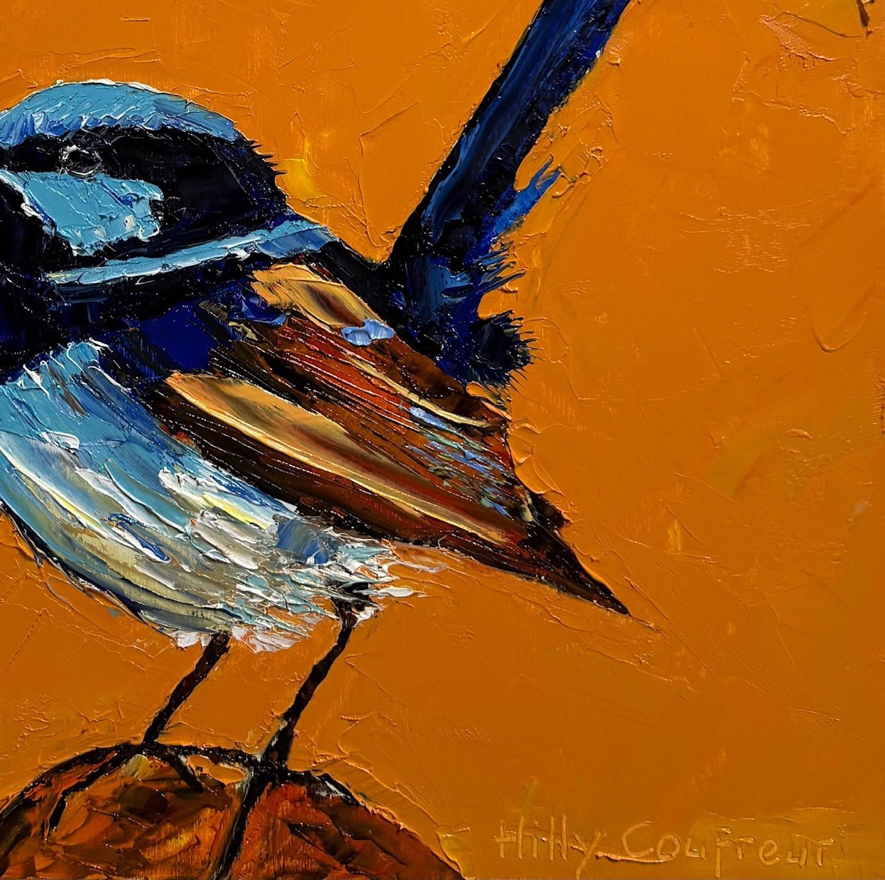 Blue Wren 3 - Gold Coast Gallery Of ArtHilly Coufreur