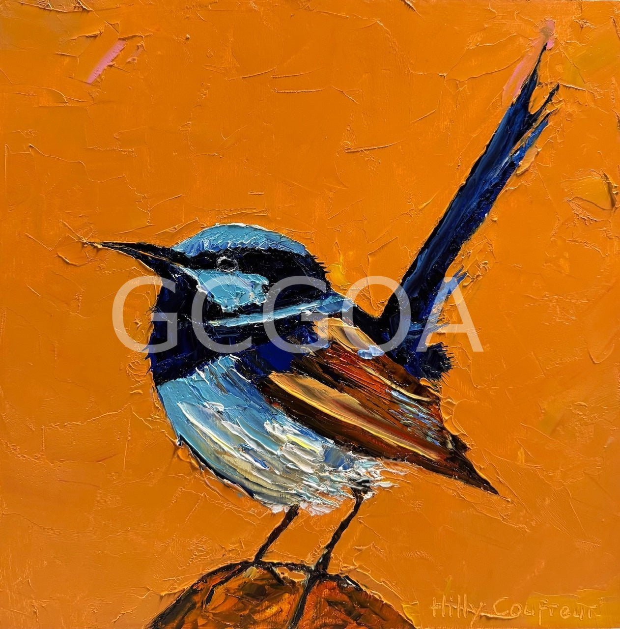 Blue Wren 3 - Gold Coast Gallery Of ArtHilly Coufreur