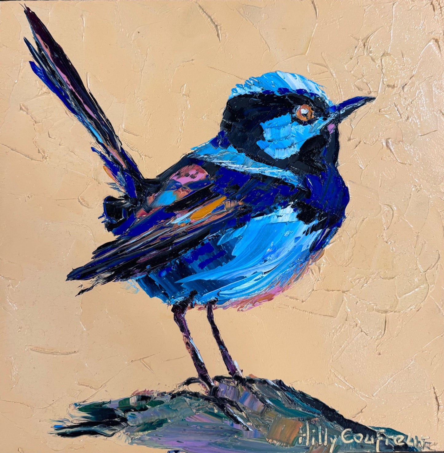 Blue Wren - Gold Coast Gallery Of ArtHilly Coufreur
