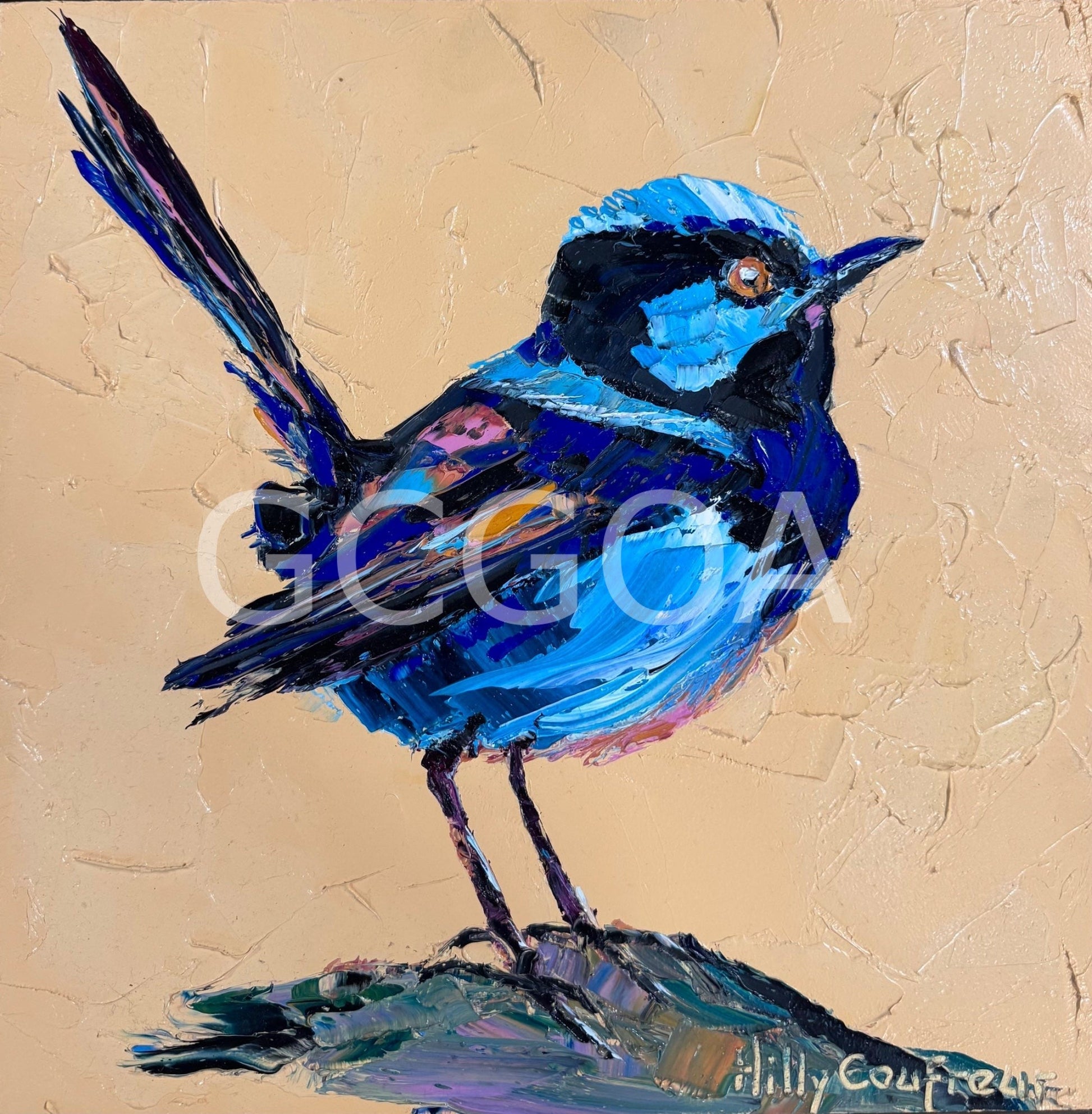 Blue Wren - Gold Coast Gallery Of ArtHilly Coufreur