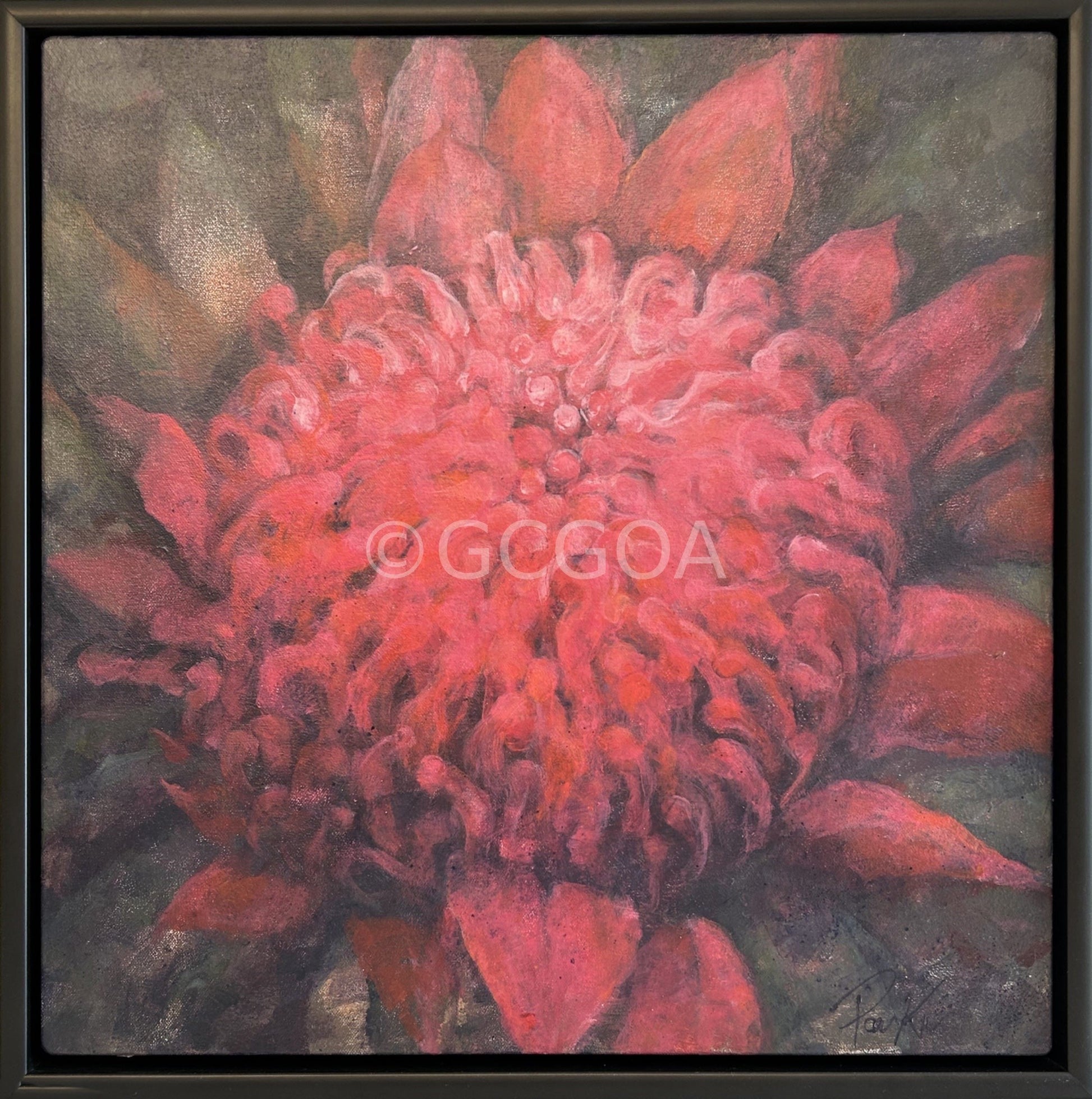 Blush in the Darkness - Waratah Dreaming - Original Art - Gold Coast Gallery Of ArtDeb Parker Artist