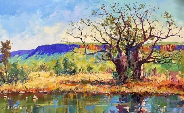 Boab Tree on Gibb River Road - Original Art - Gold Coast Gallery Of ArtJos Coufreur