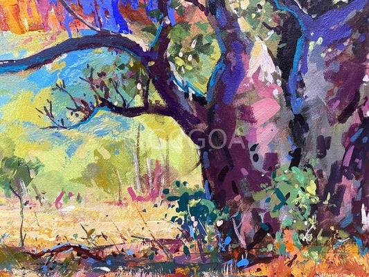 Boab Tree on Gibb River Road - Original Art - Gold Coast Gallery Of ArtJos Coufreur