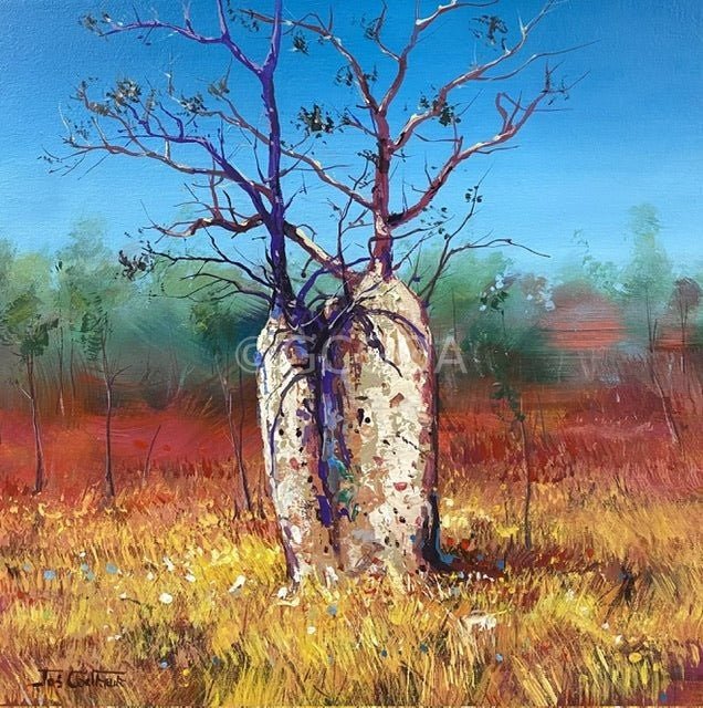 Boab Trees 47 - Original Art - Gold Coast Gallery Of ArtJos Coufreur