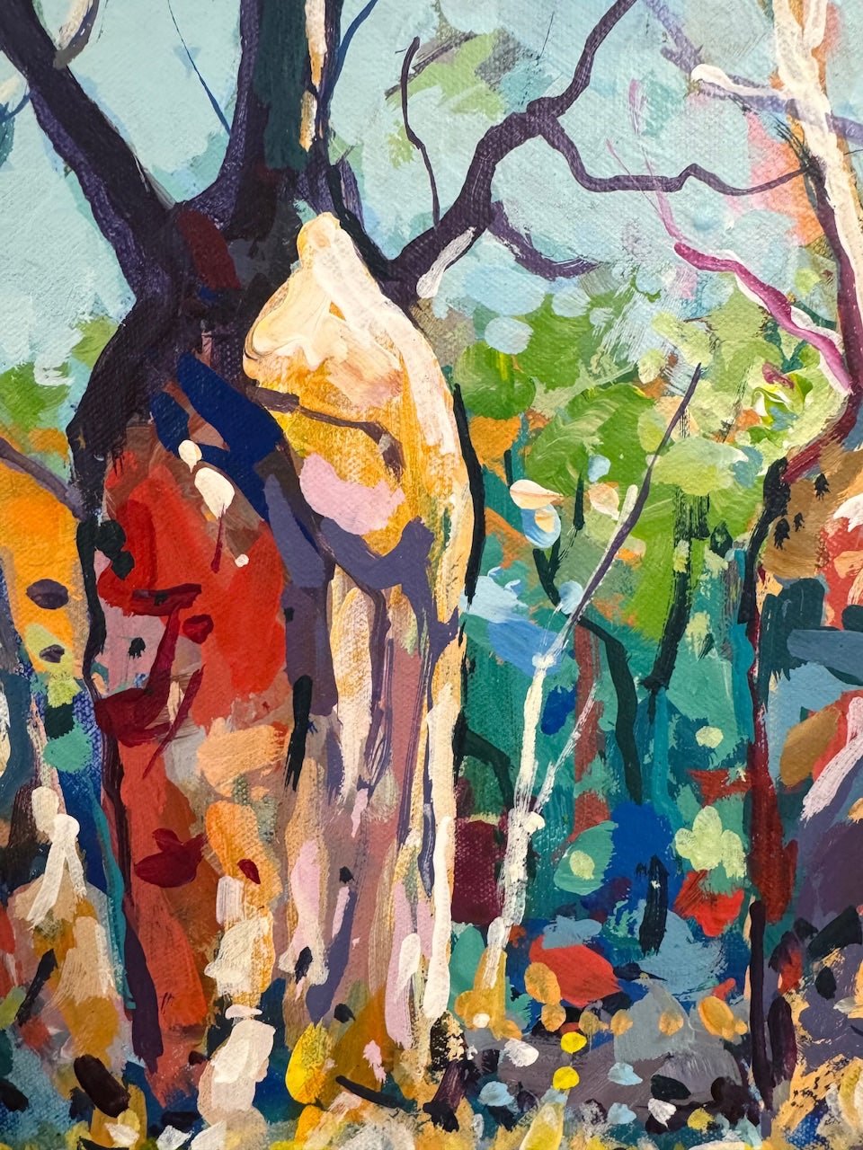 Boab Trees 50 - Gold Coast Gallery Of ArtJos Coufreur