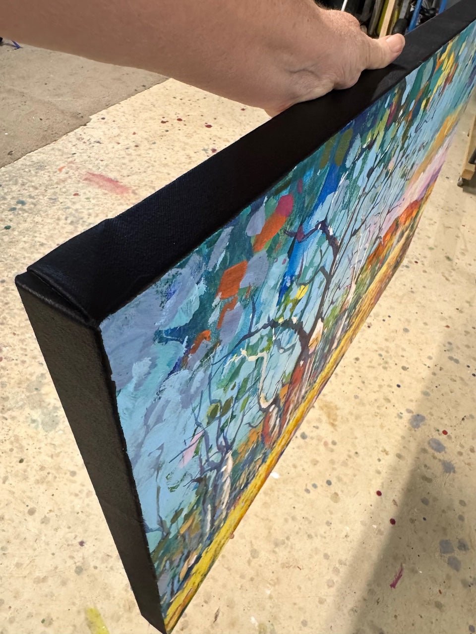 Boab Trees 50 - Gold Coast Gallery Of ArtJos Coufreur