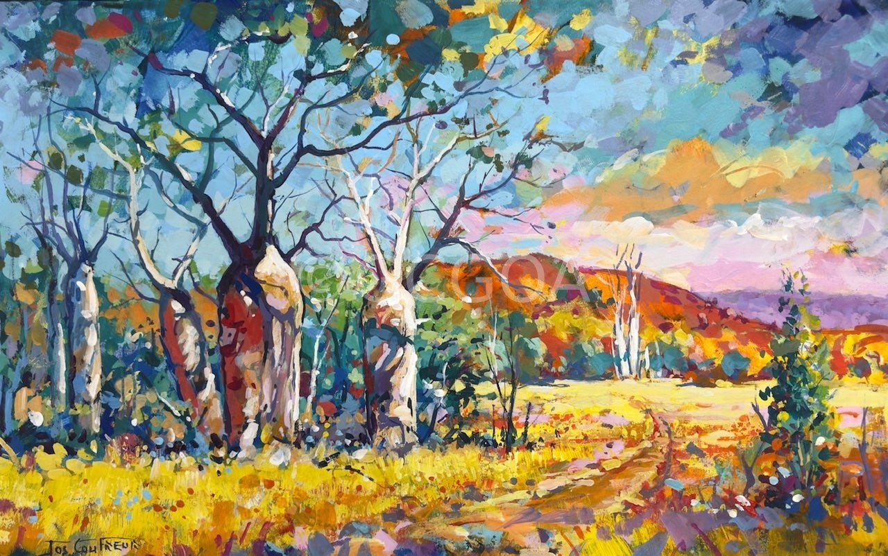 Boab Trees 50 - Gold Coast Gallery Of ArtJos Coufreur