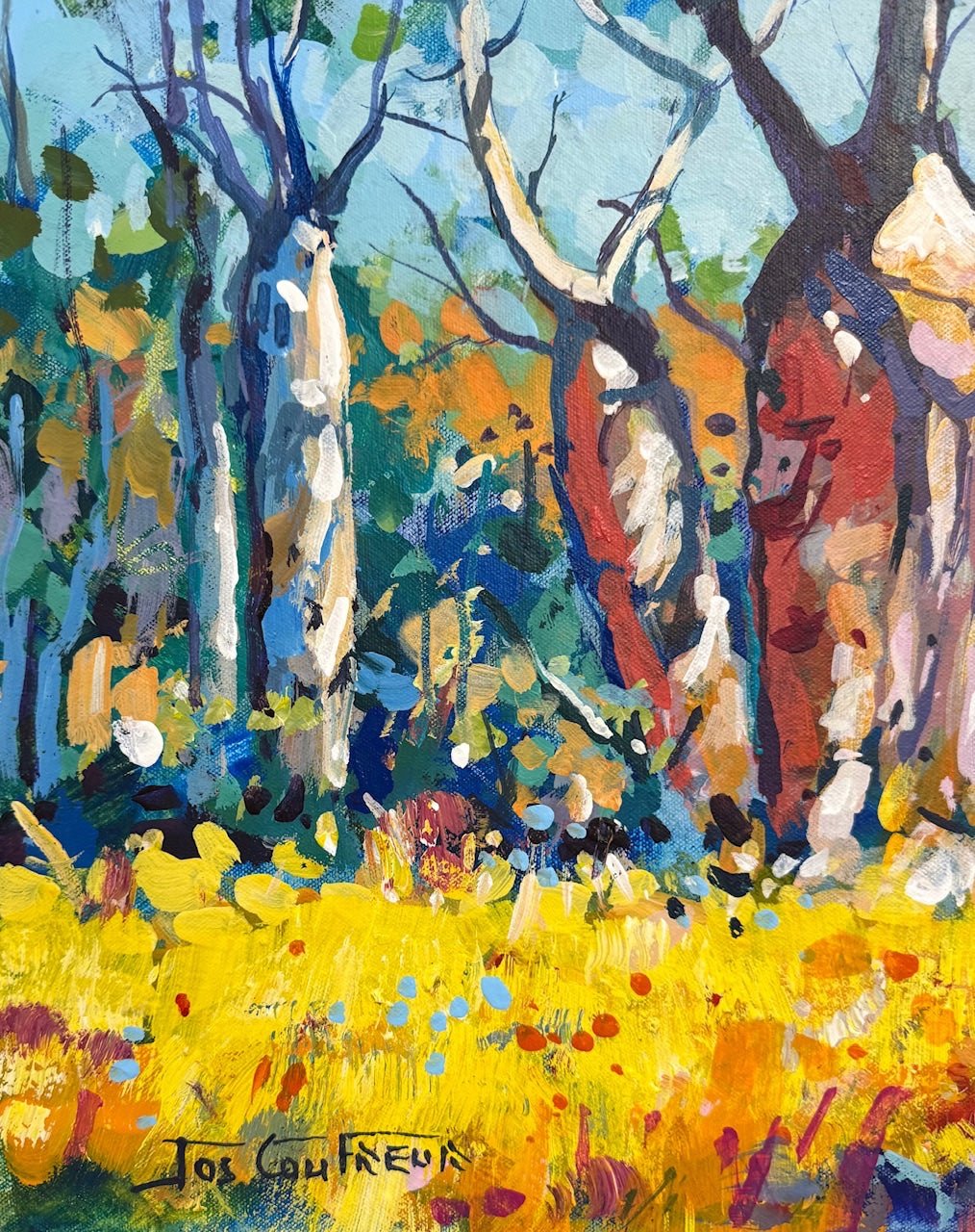 Boab Trees 50 - Gold Coast Gallery Of ArtJos Coufreur