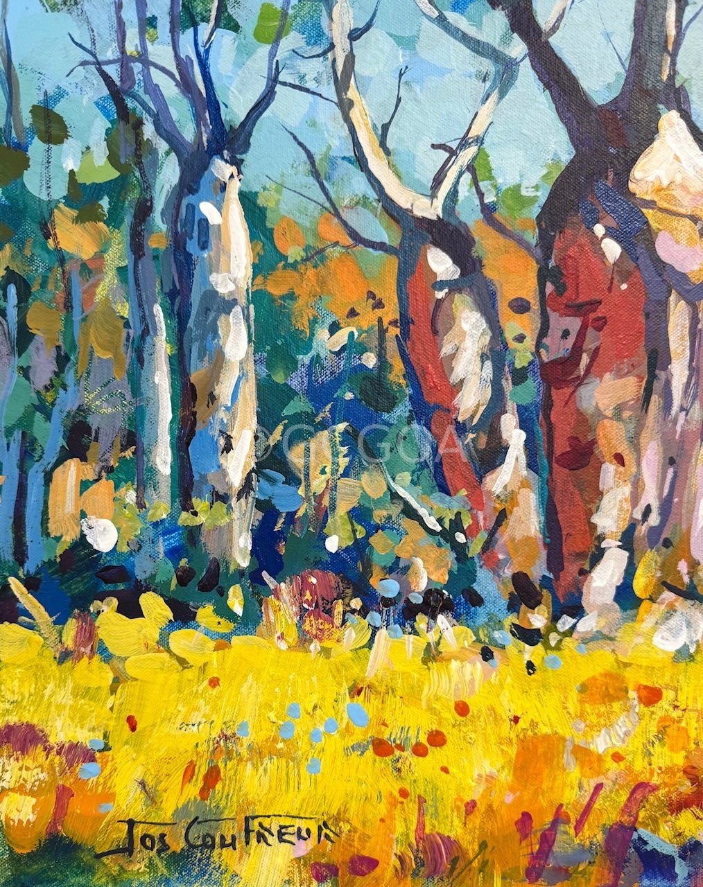 Boab Trees 50 - Gold Coast Gallery Of ArtJos Coufreur