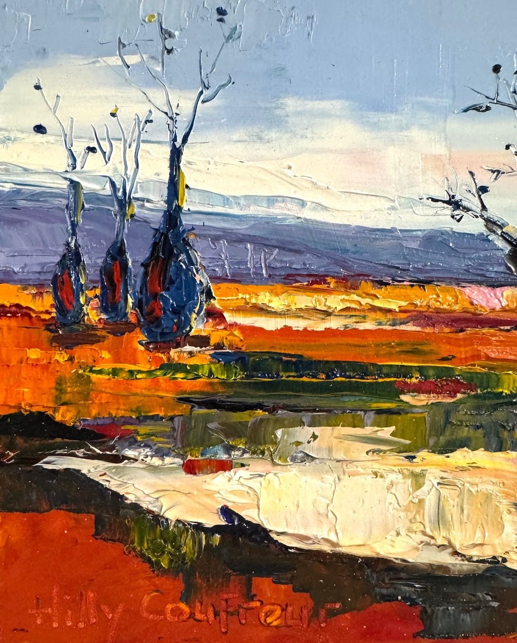 Boab Trees by the Billabong - Gold Coast Gallery Of ArtHilly Coufreur