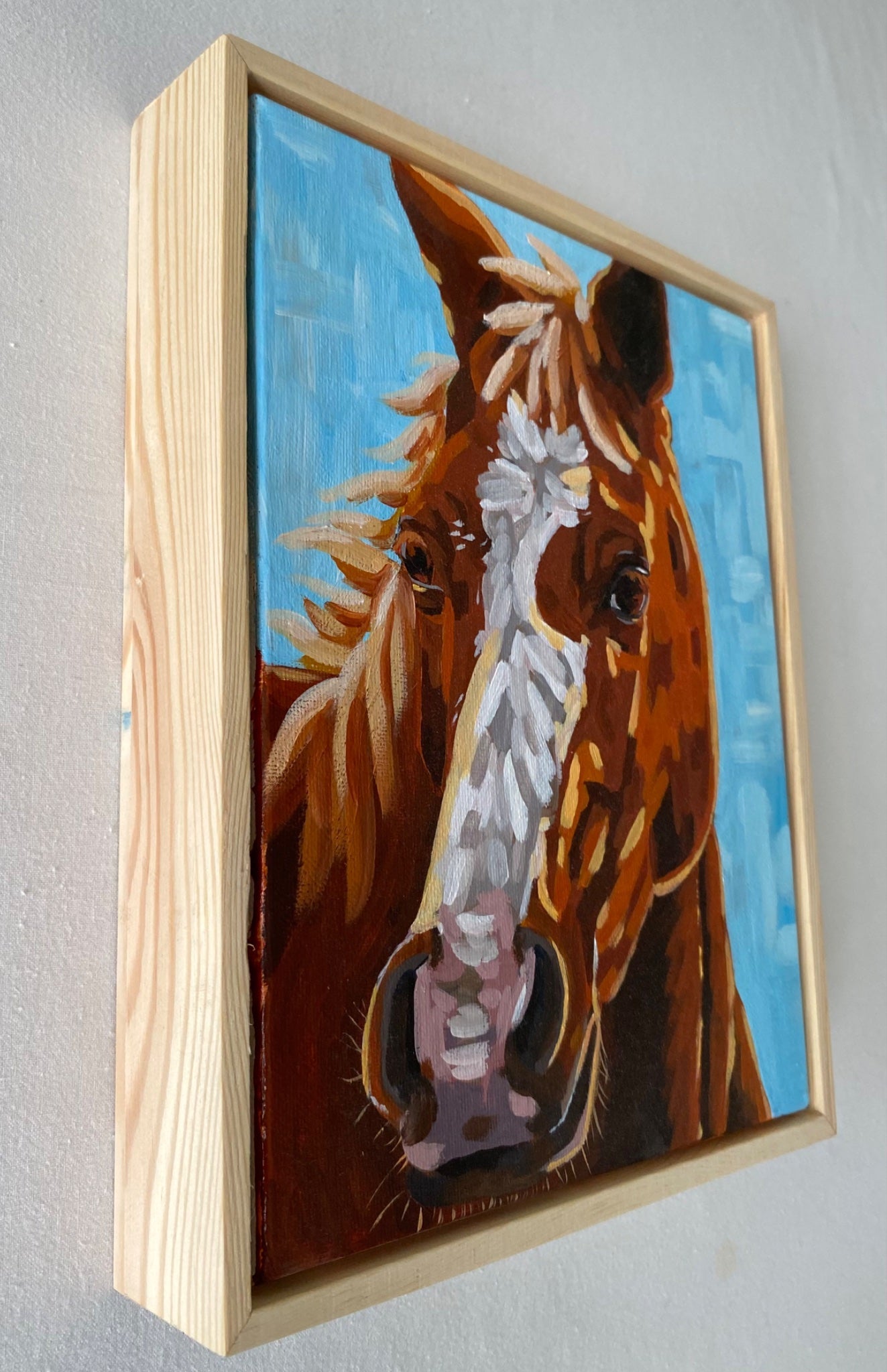 Buddy - Gold Coast Gallery Of ArtMikayla