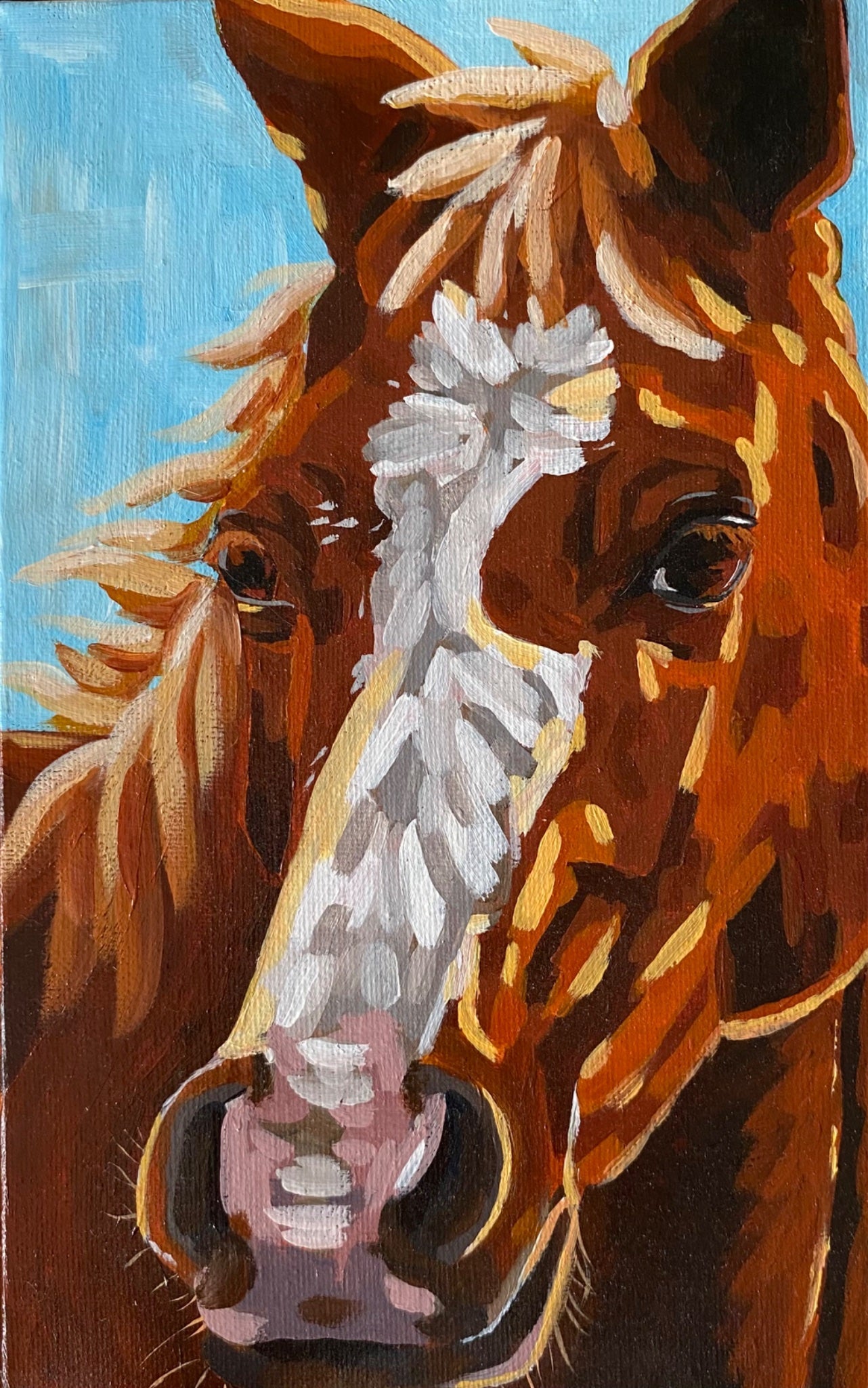 Buddy - Gold Coast Gallery Of ArtMikayla