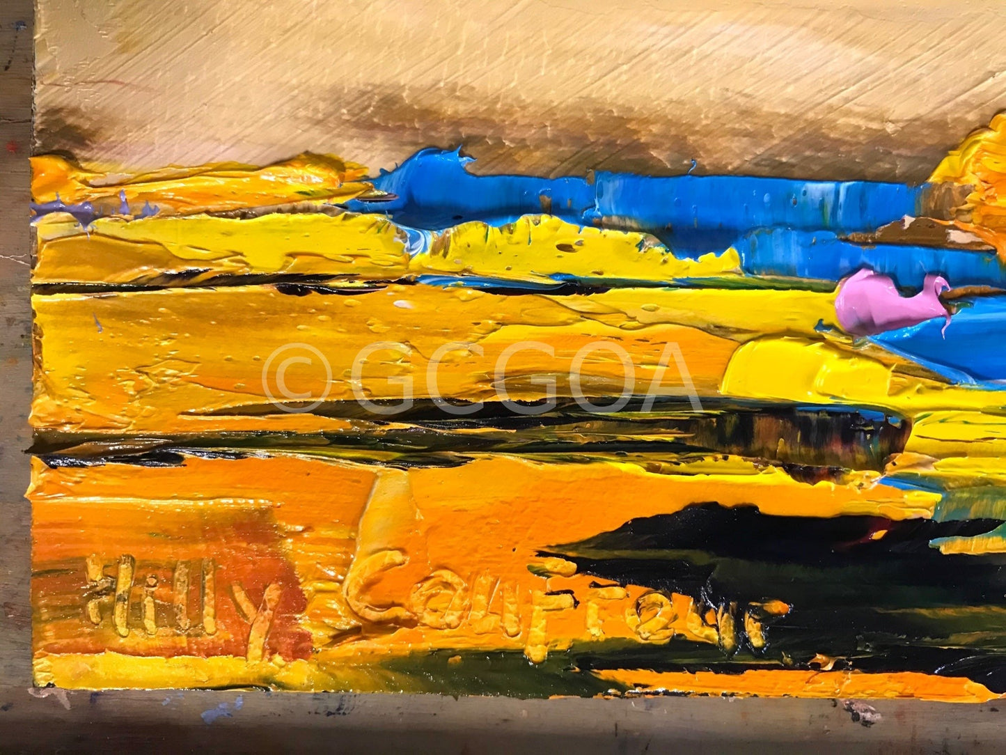 Cactus Landscape 2 - Gold Coast Gallery Of ArtHilly Coufreur