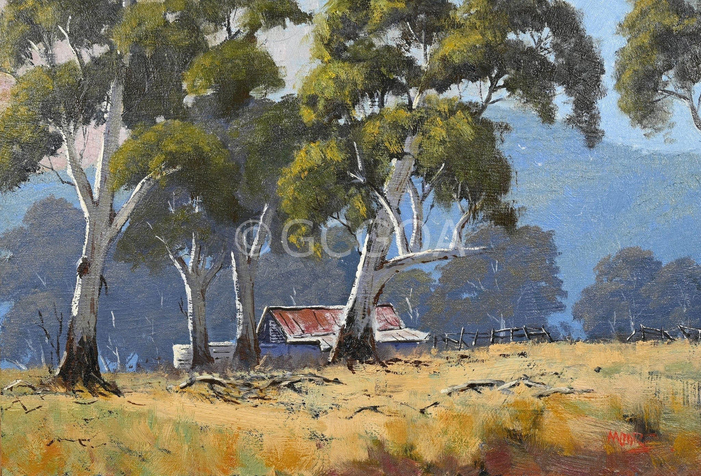 Capertee Valley Sheds - Gold Coast Gallery Of ArtRod Moore