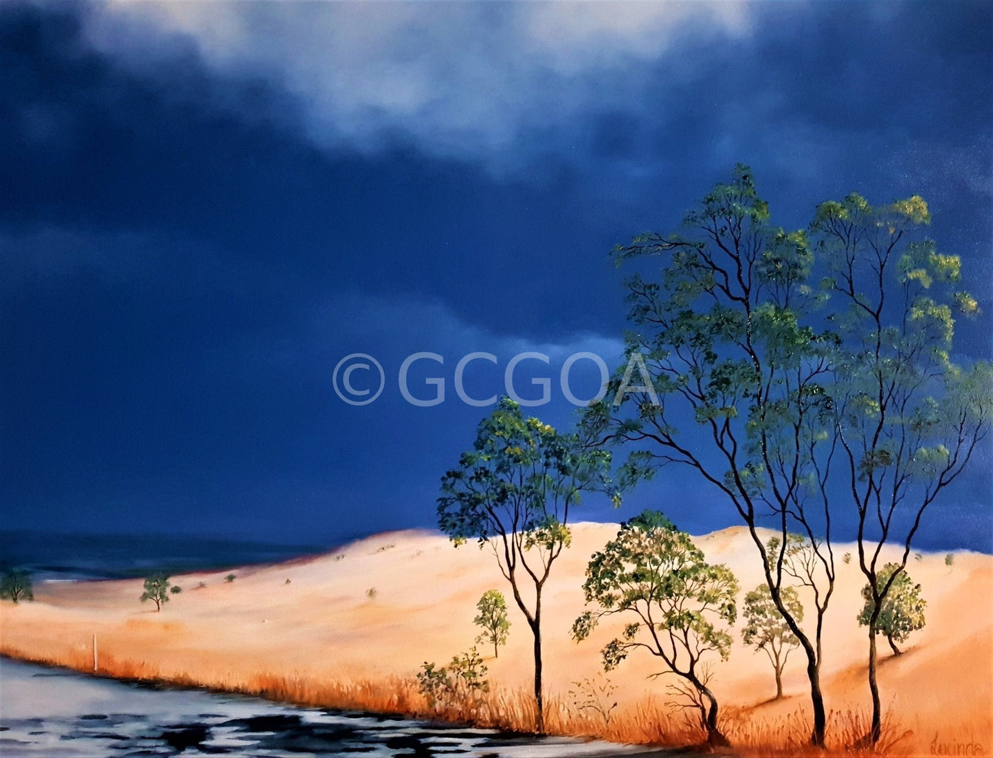 Capturing The Spirit - Original Art - Gold Coast Gallery Of ArtLucinda Leveille