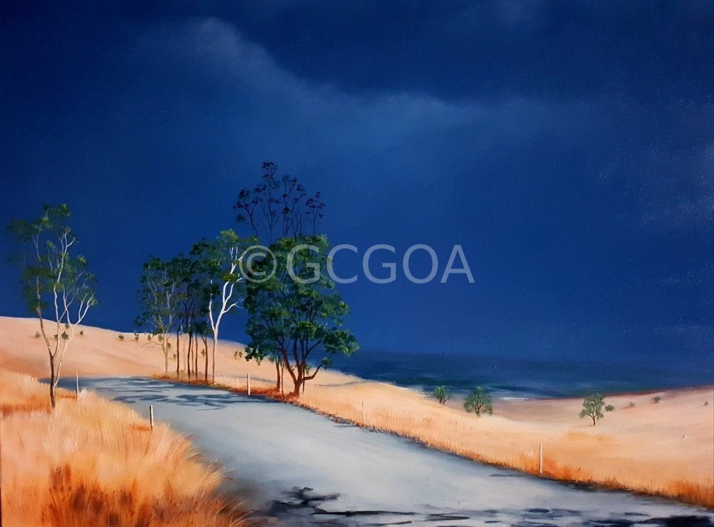 Capturing The Spirit - Original Art - Gold Coast Gallery Of ArtLucinda Leveille