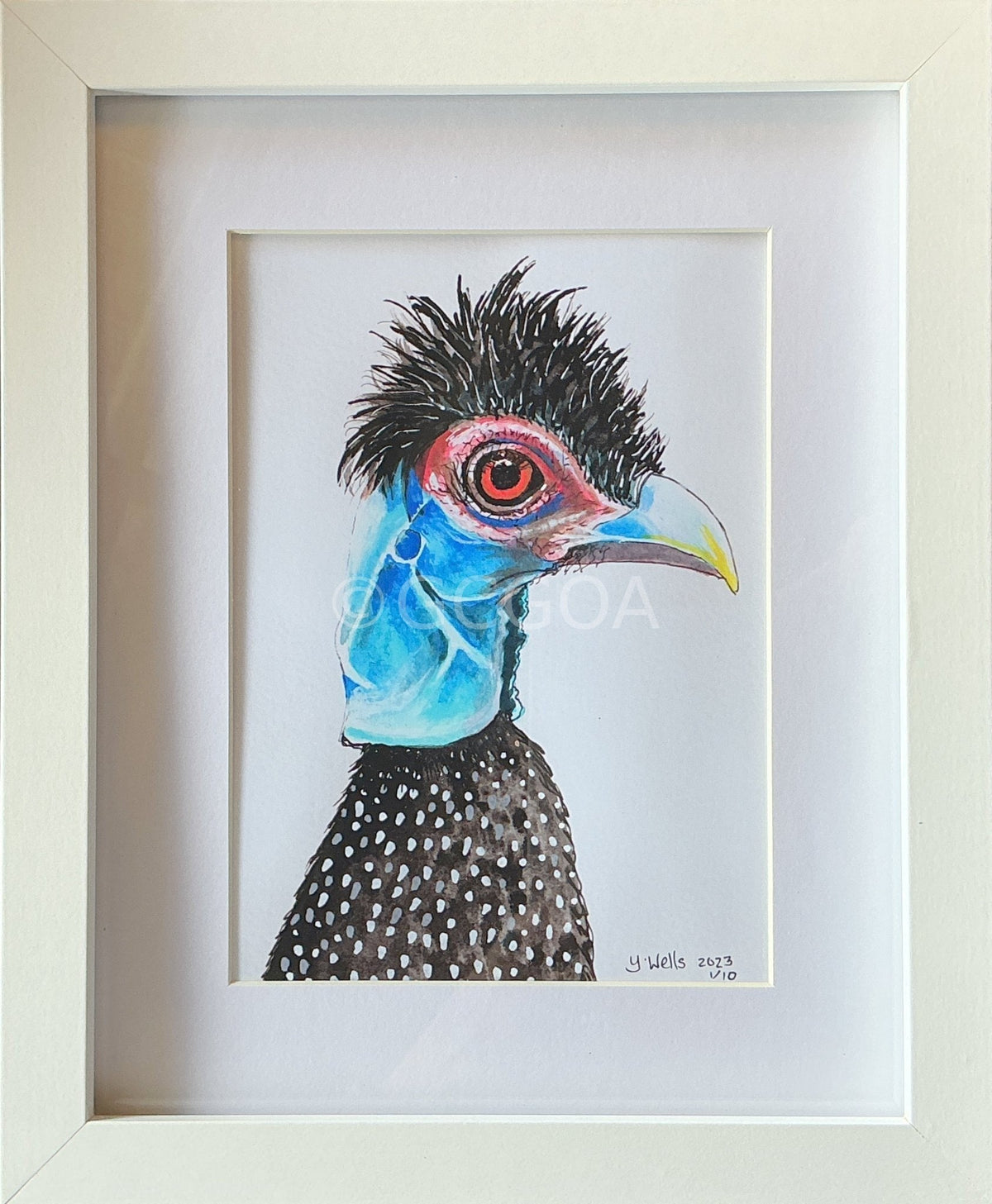 Charles and Bernie Pair- the exotic fowl affair - Gold Coast Gallery Of ArtYvonne Wells