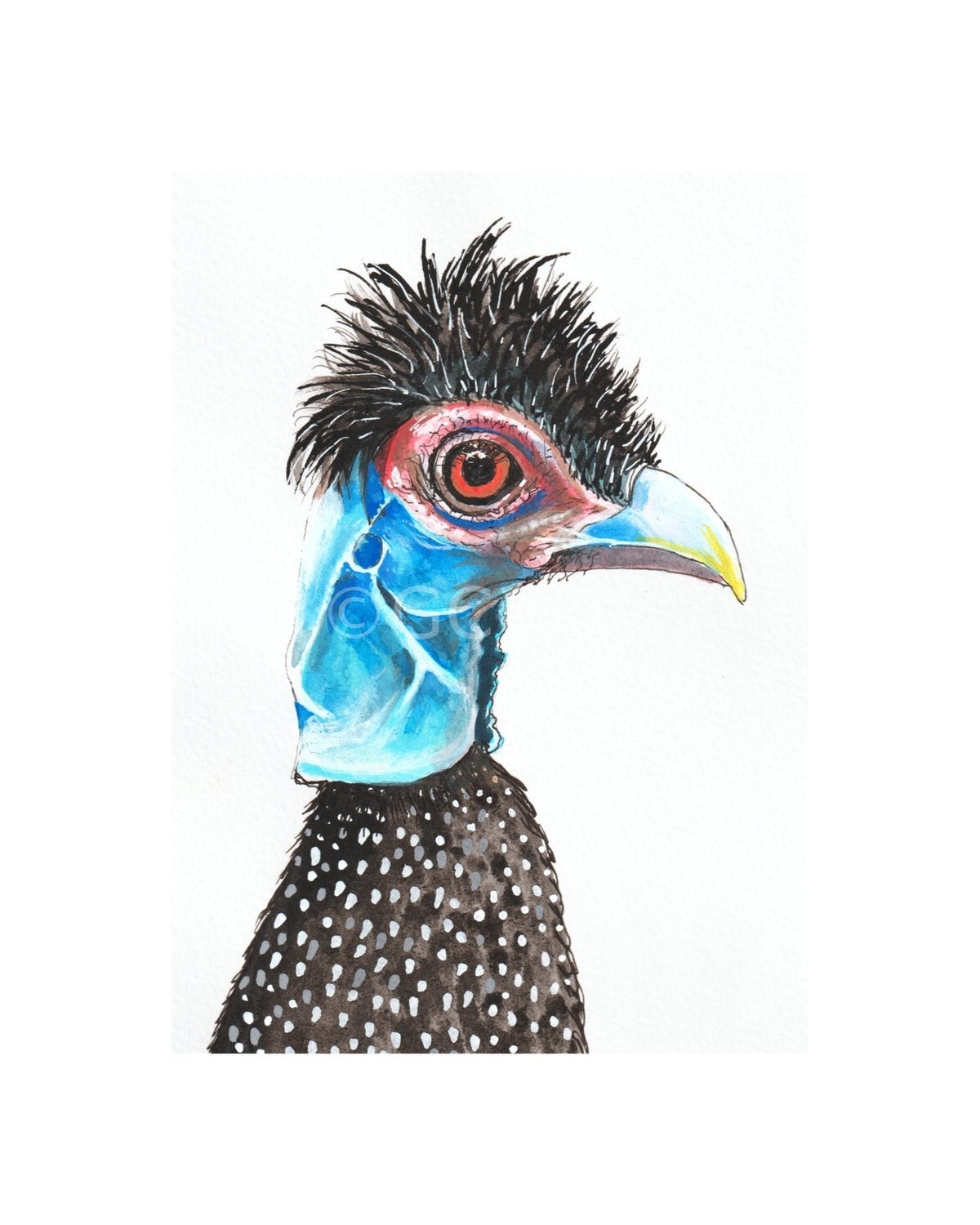 Charles and Bernie Pair- the exotic fowl affair - Gold Coast Gallery Of ArtYvonne Wells