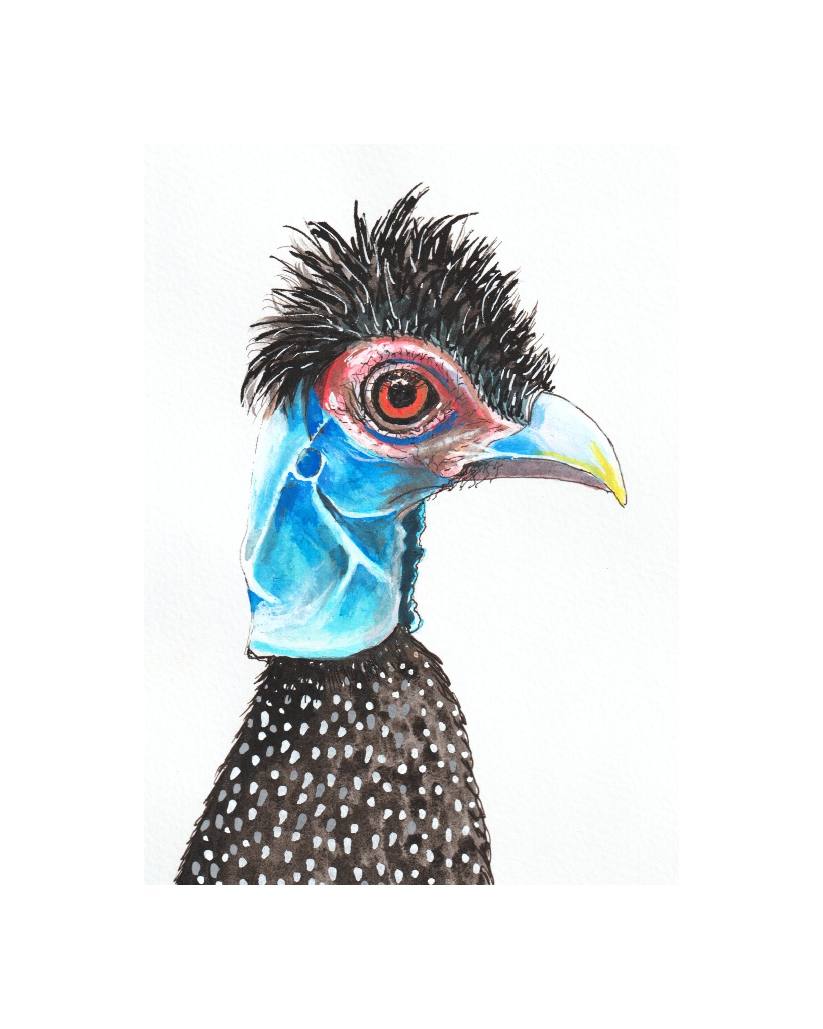 Charles and Bernie Pair - the exotic fowl affair - Gold Coast Gallery Of ArtYvonne Wells