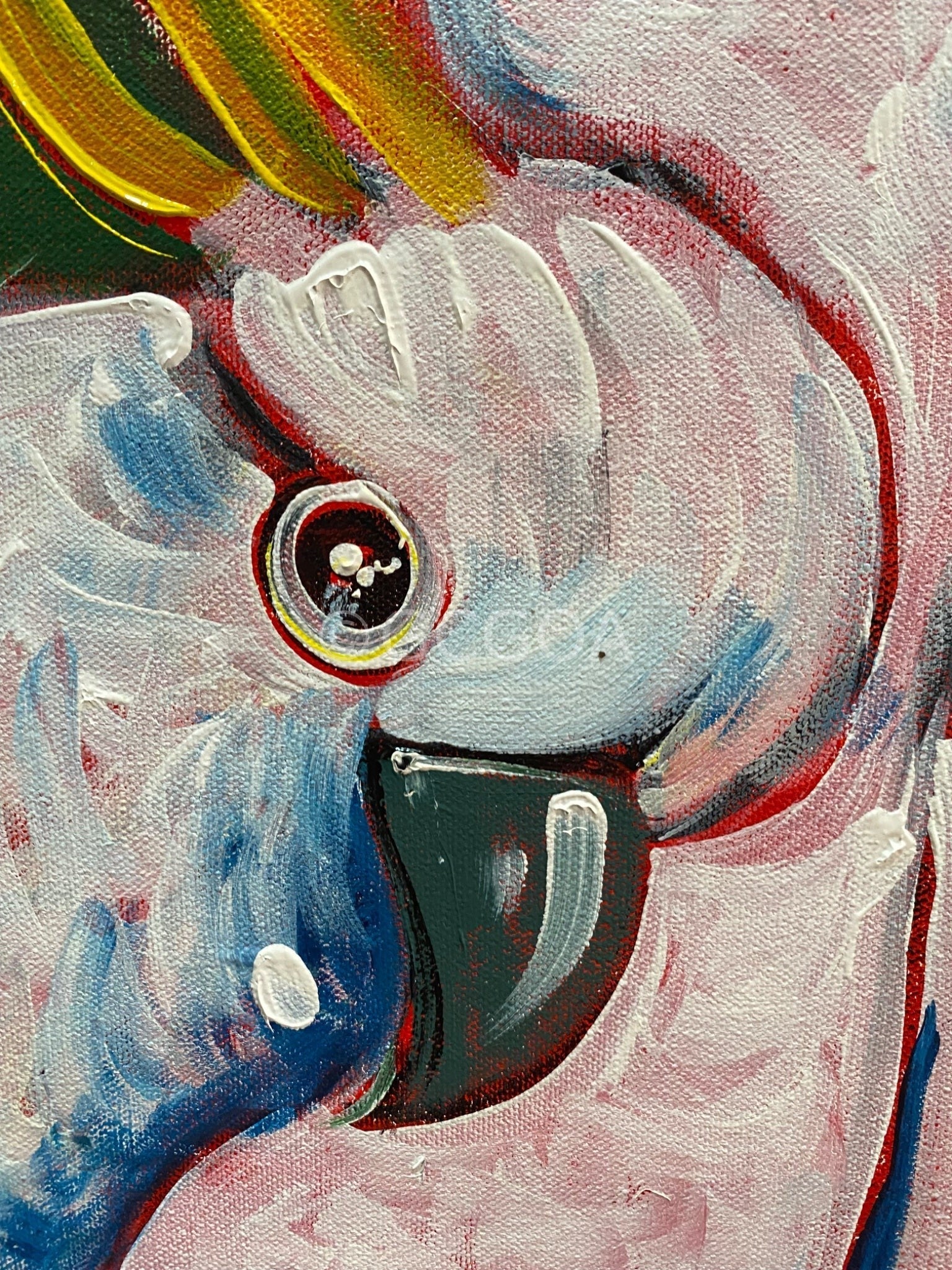 Cheeky Cockatoos - Original Art - Gold Coast Gallery Of ArtLucy Car