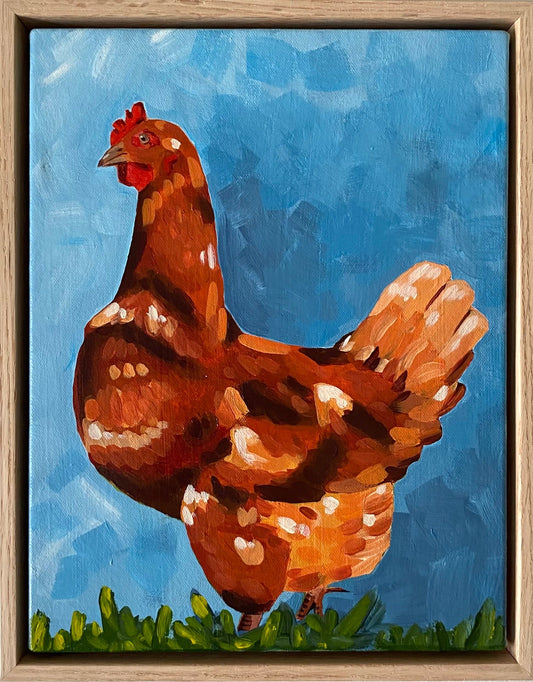Chook - Gold Coast Gallery Of ArtMikayla