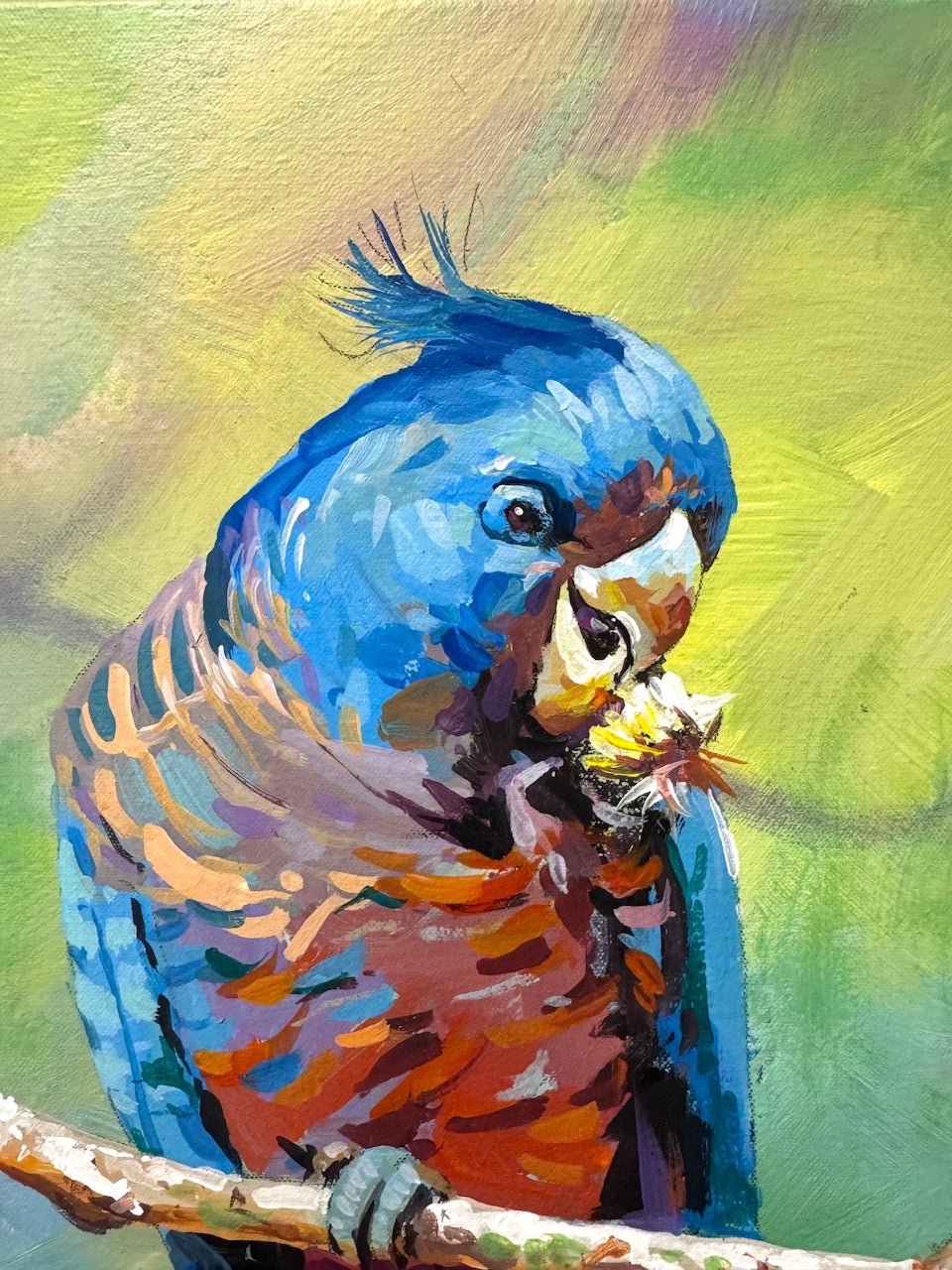 Cockatoo - Gold Coast Gallery Of ArtJos Coufreur