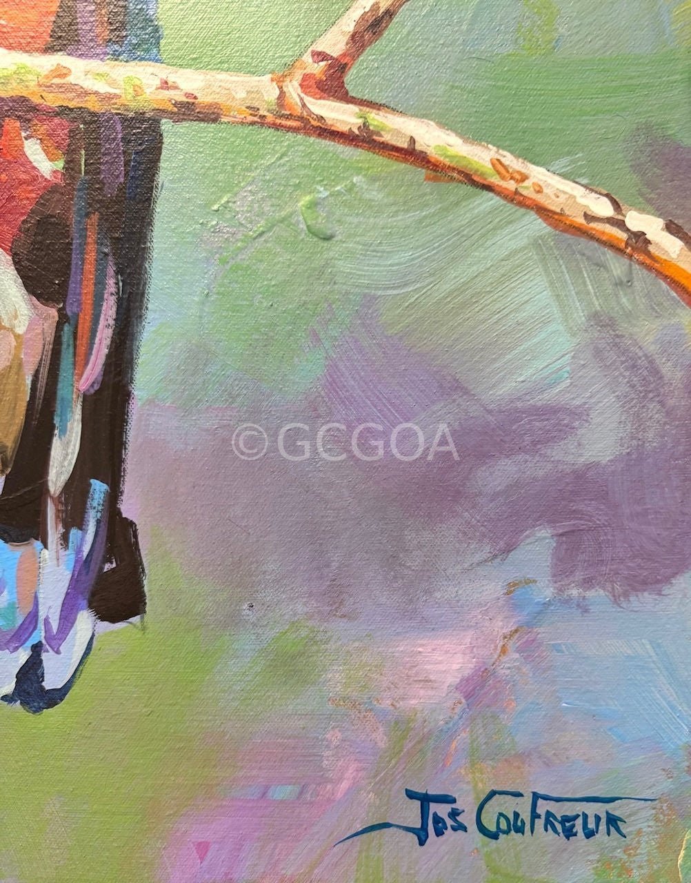 Cockatoo - Gold Coast Gallery Of ArtJos Coufreur