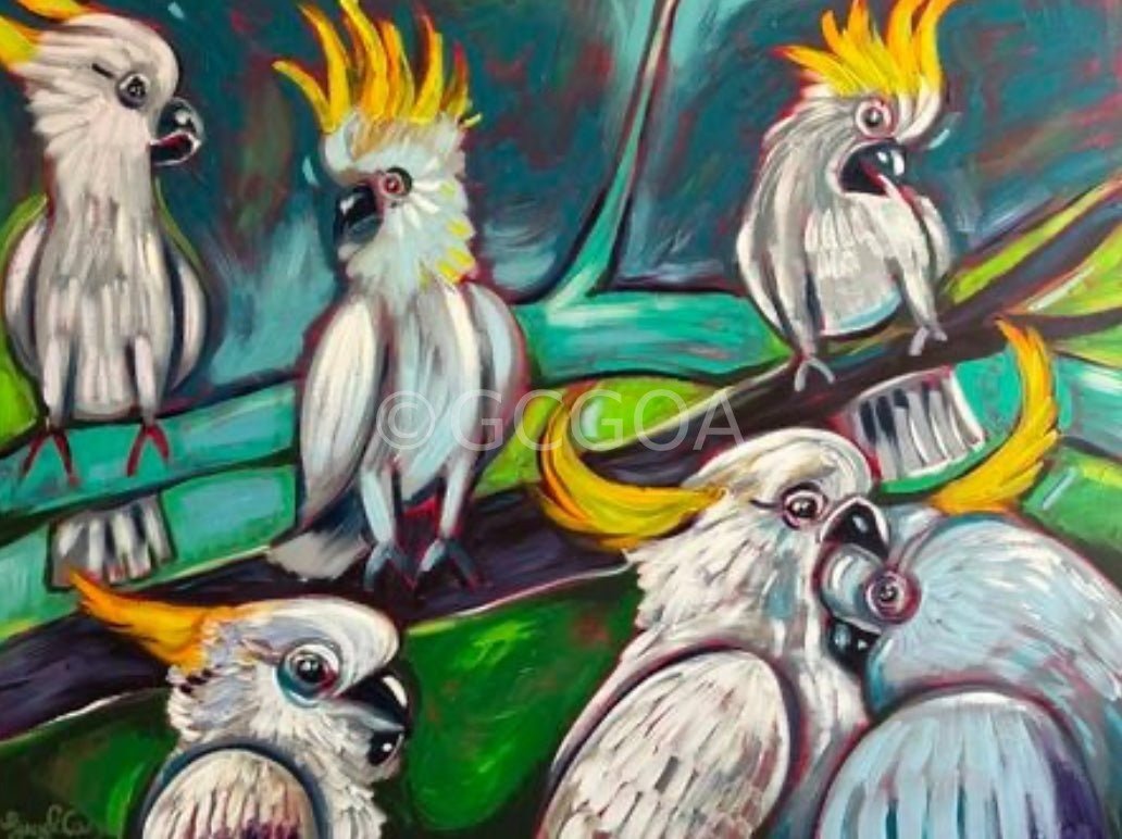 Cockatoos a’Courting - Gold Coast Gallery Of ArtLucy Car