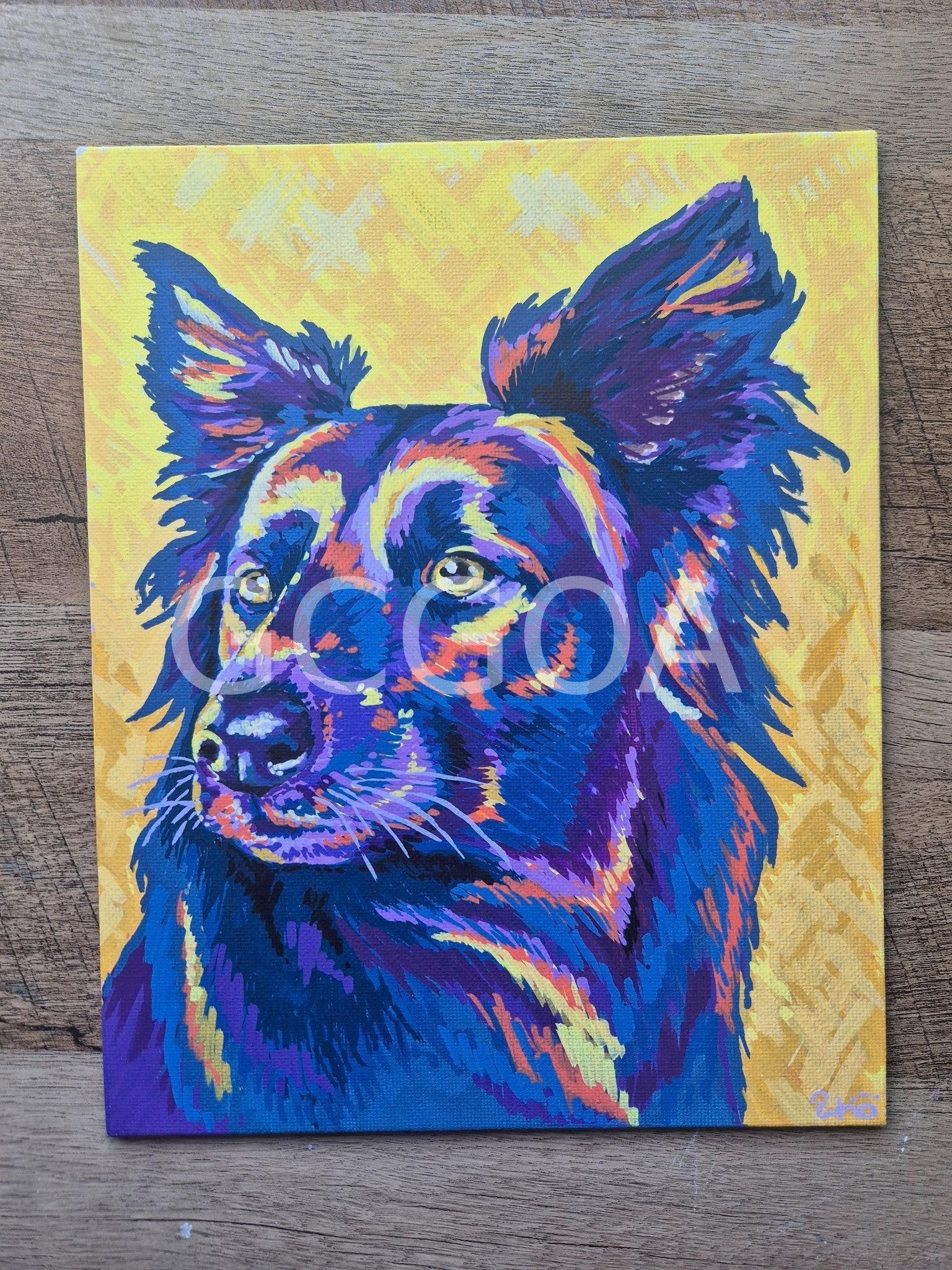Colour Unleashed - Gold Coast Gallery Of ArtRenae Hall