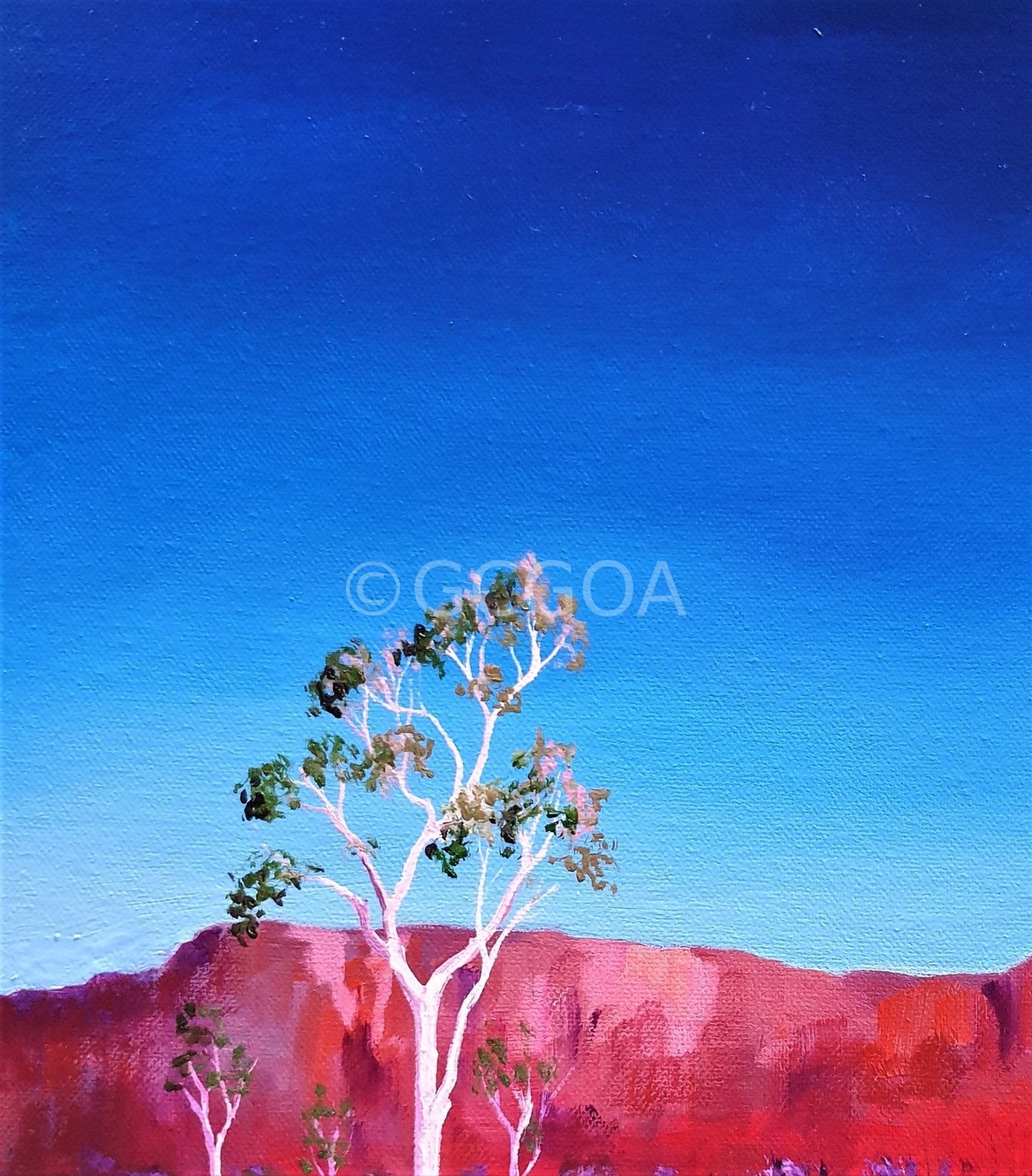 Colours of the Centre - Original Art - Gold Coast Gallery Of ArtLucinda Leveille