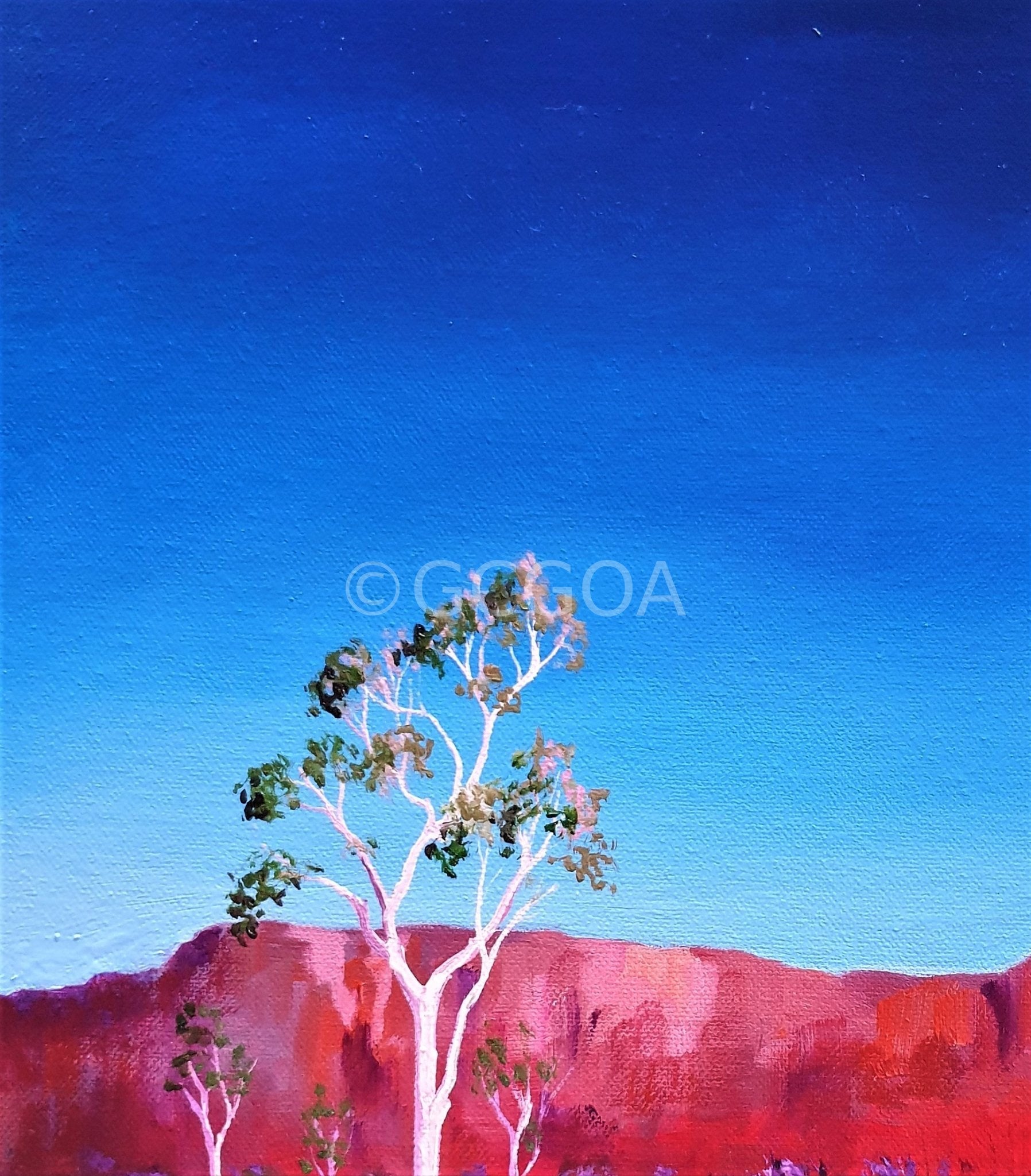 Colours of the Centre - Original Art - Gold Coast Gallery Of ArtLucinda Leveille