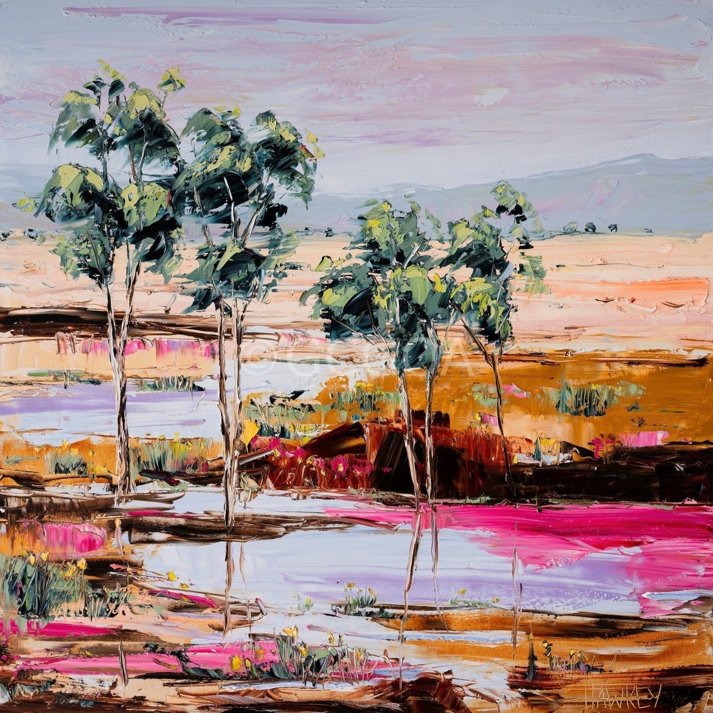 Contemplation - Fine Art Print - Gold Coast Gallery Of ArtAngela Hawkey