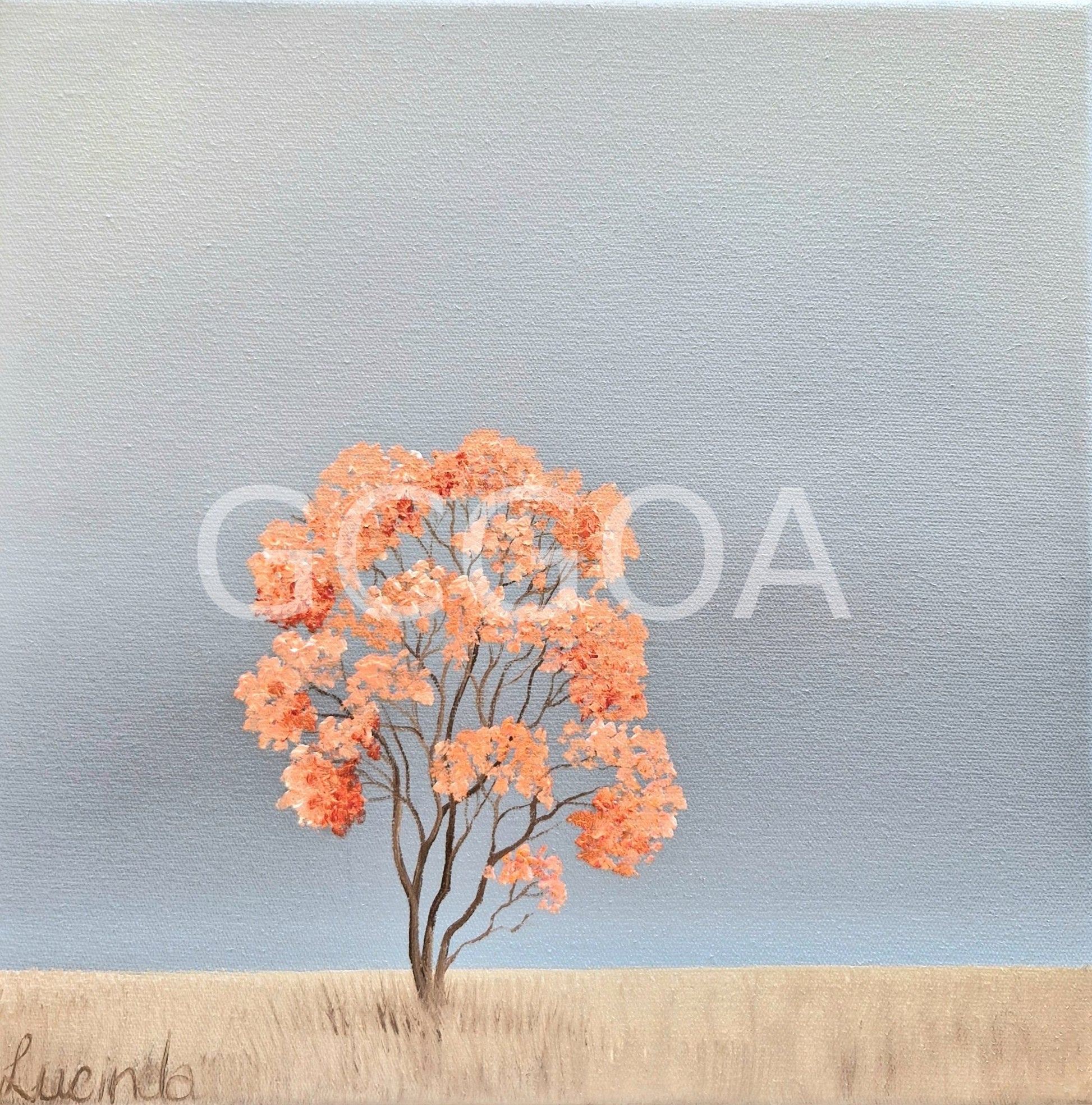 Coral Blossom Tree - Gold Coast Gallery Of ArtLucinda Leveille