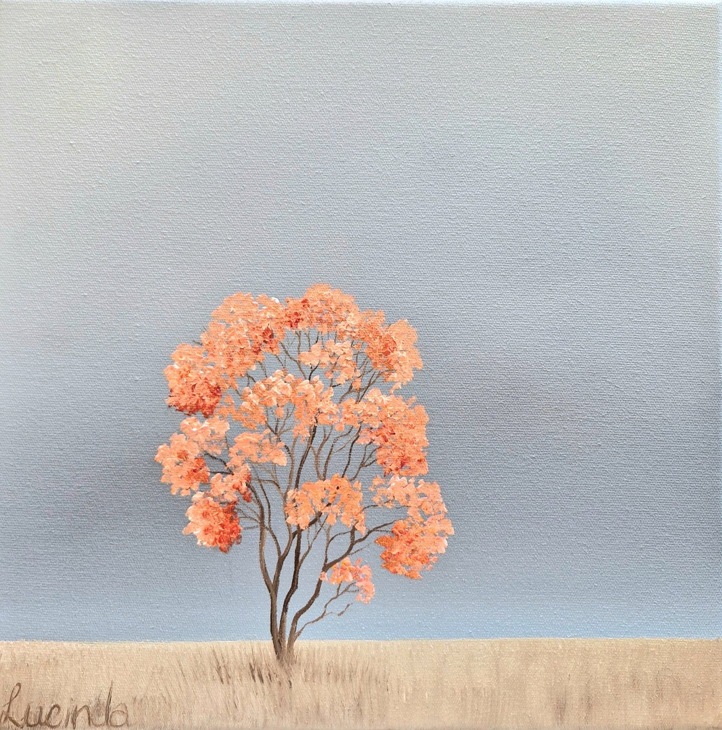 Coral Blossom Tree - Gold Coast Gallery Of ArtLucinda Leveille
