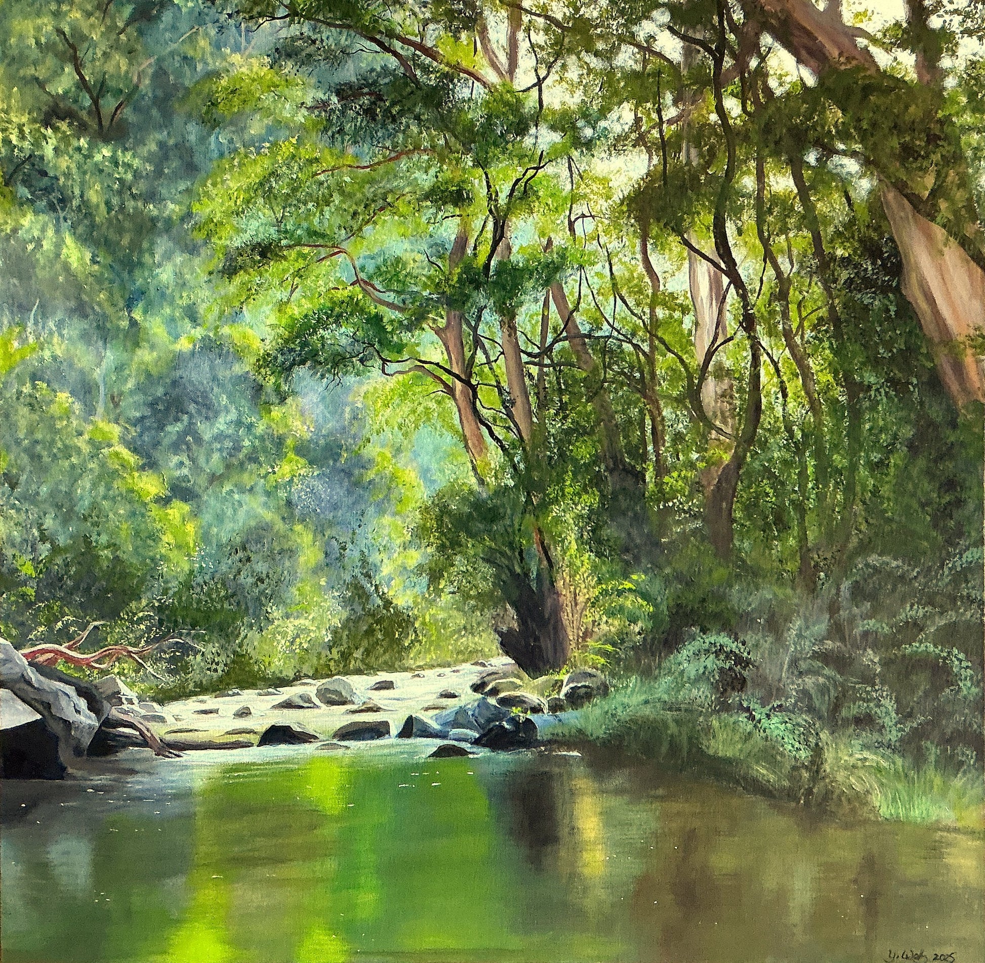 Cumberland River Victoria - Gold Coast Gallery Of ArtYvonne Wells