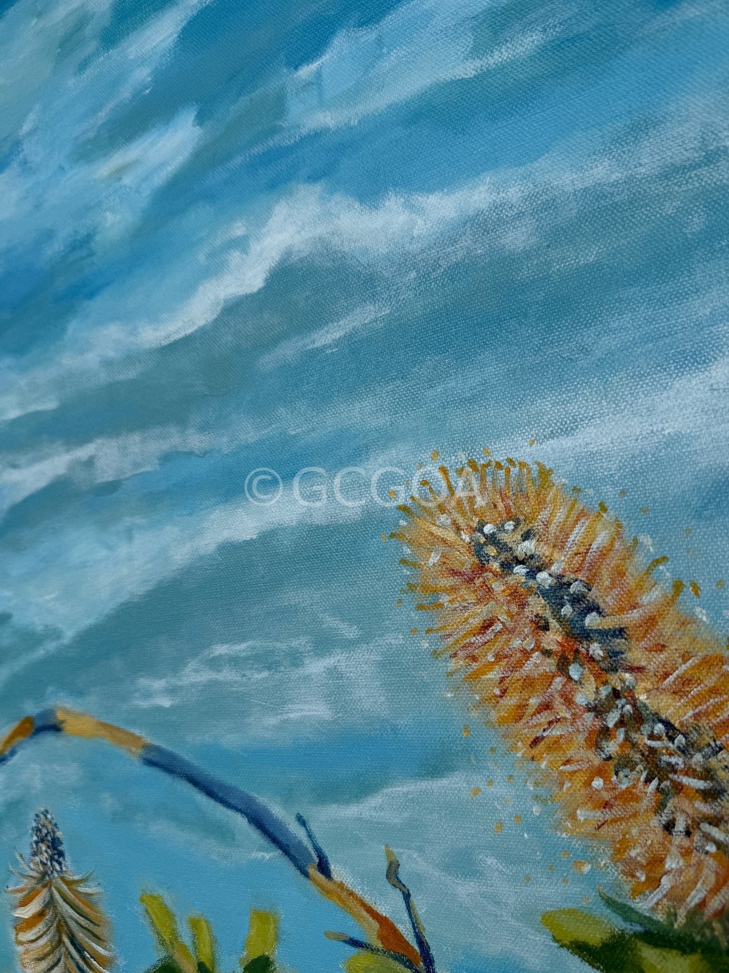 Curls In The Wind - Original Art - Gold Coast Gallery Of ArtSuzanne Barrett
