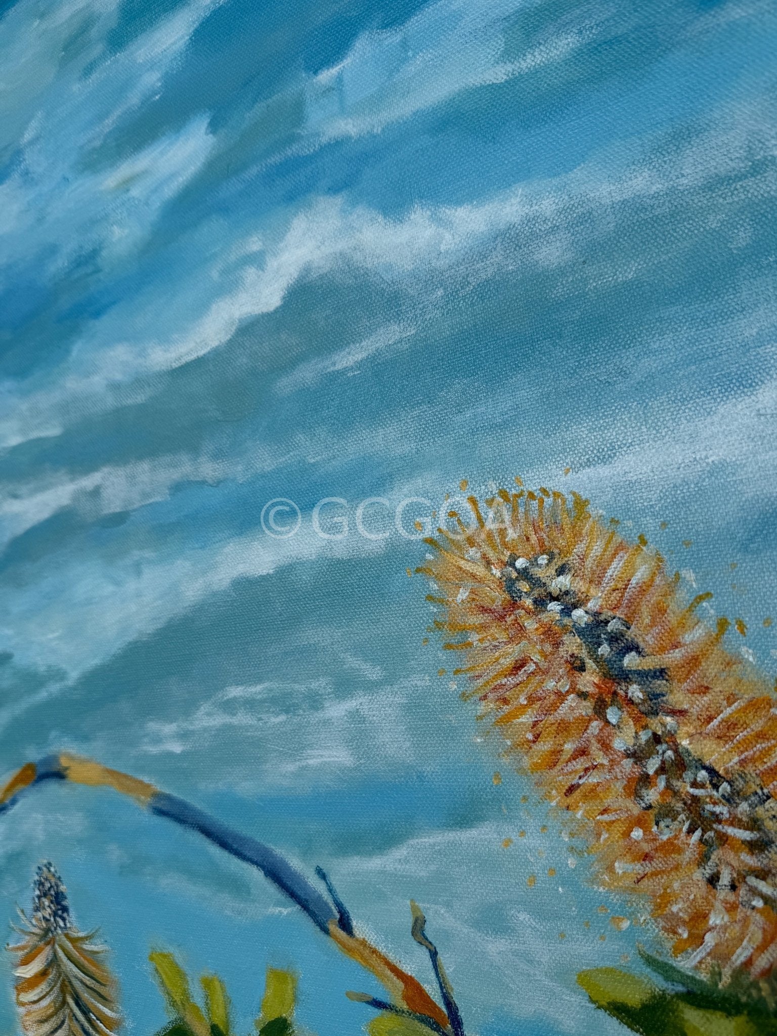 Curls In The Wind - Original Art - Gold Coast Gallery Of ArtSuzanne Barrett