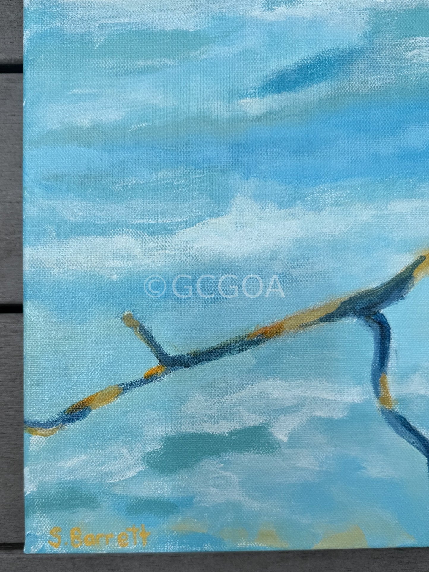 Curls In The Wind - Original Art - Gold Coast Gallery Of ArtSuzanne Barrett