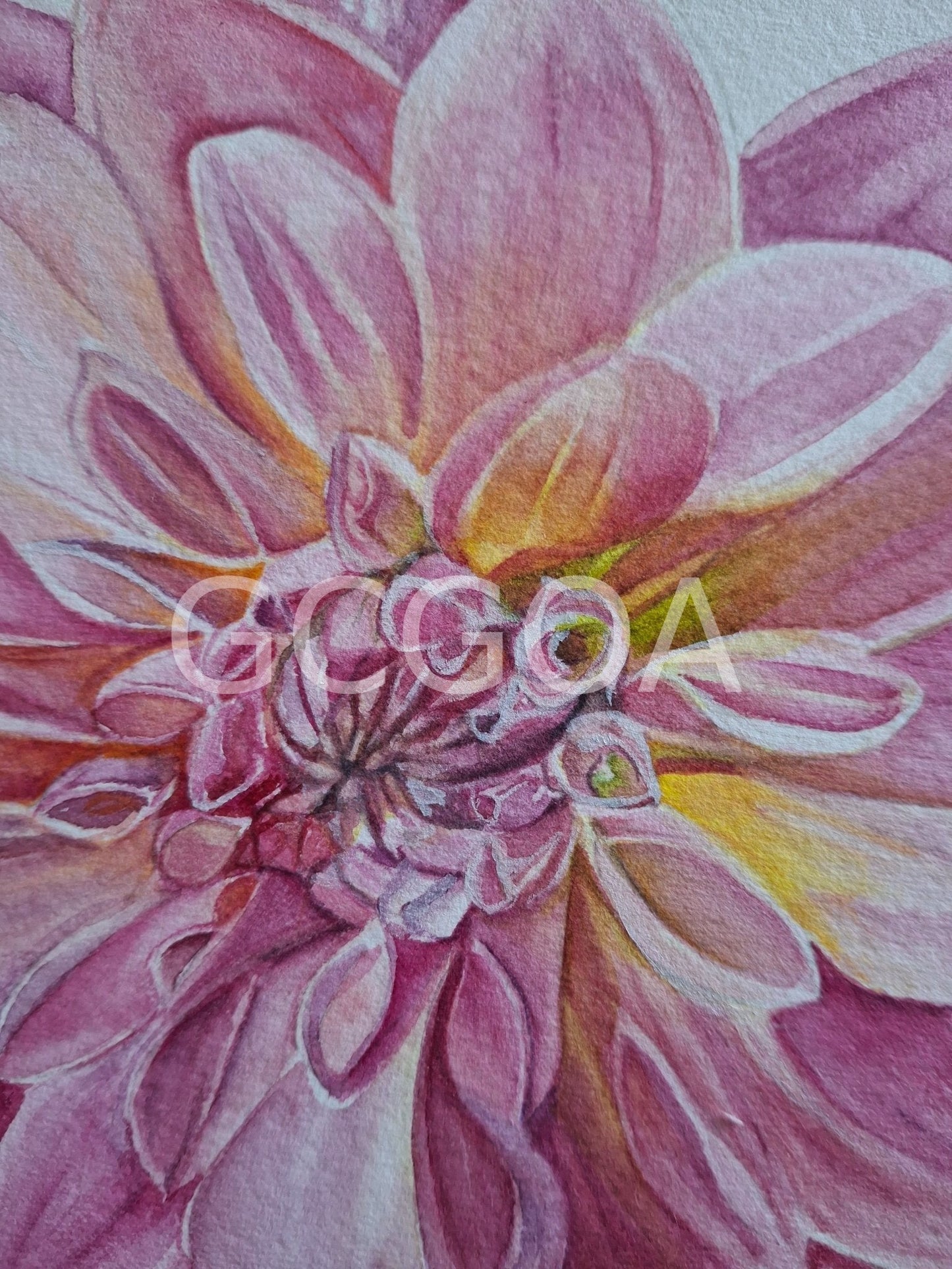 Dahlia Watercolour Framed - Gold Coast Gallery Of ArtNatalie K